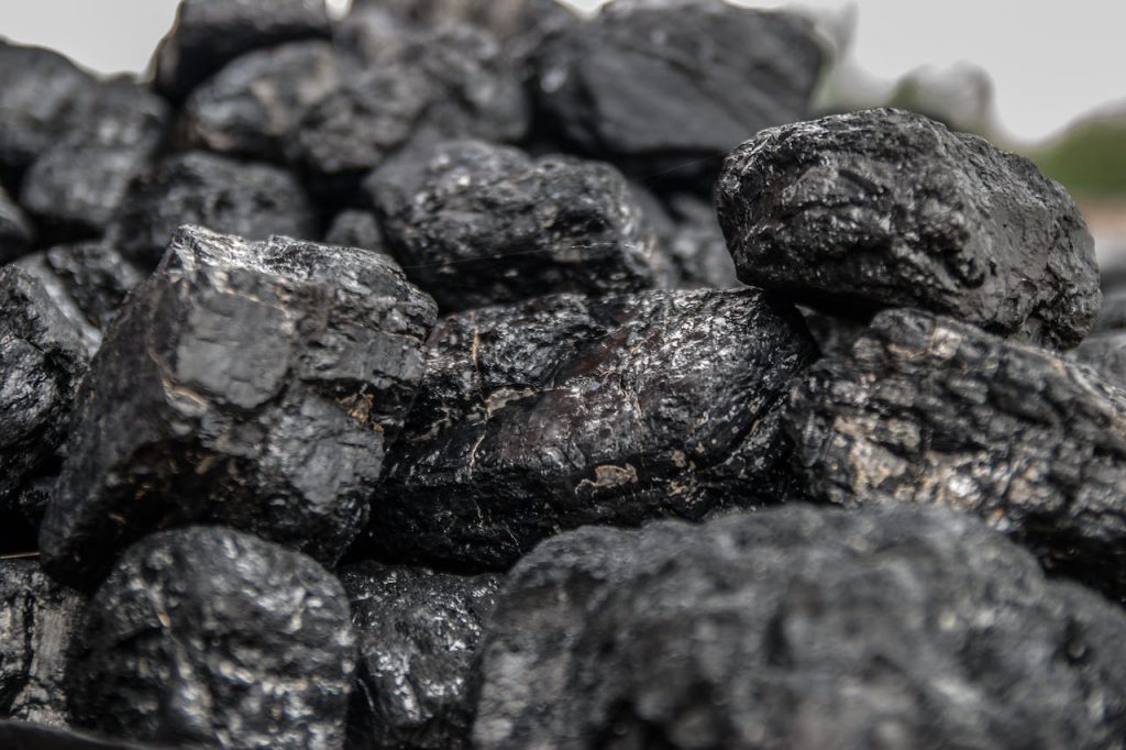 Jak powstał węgiel kamienny?